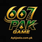 667pak game